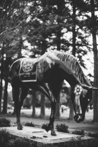 horse statue in Germantown