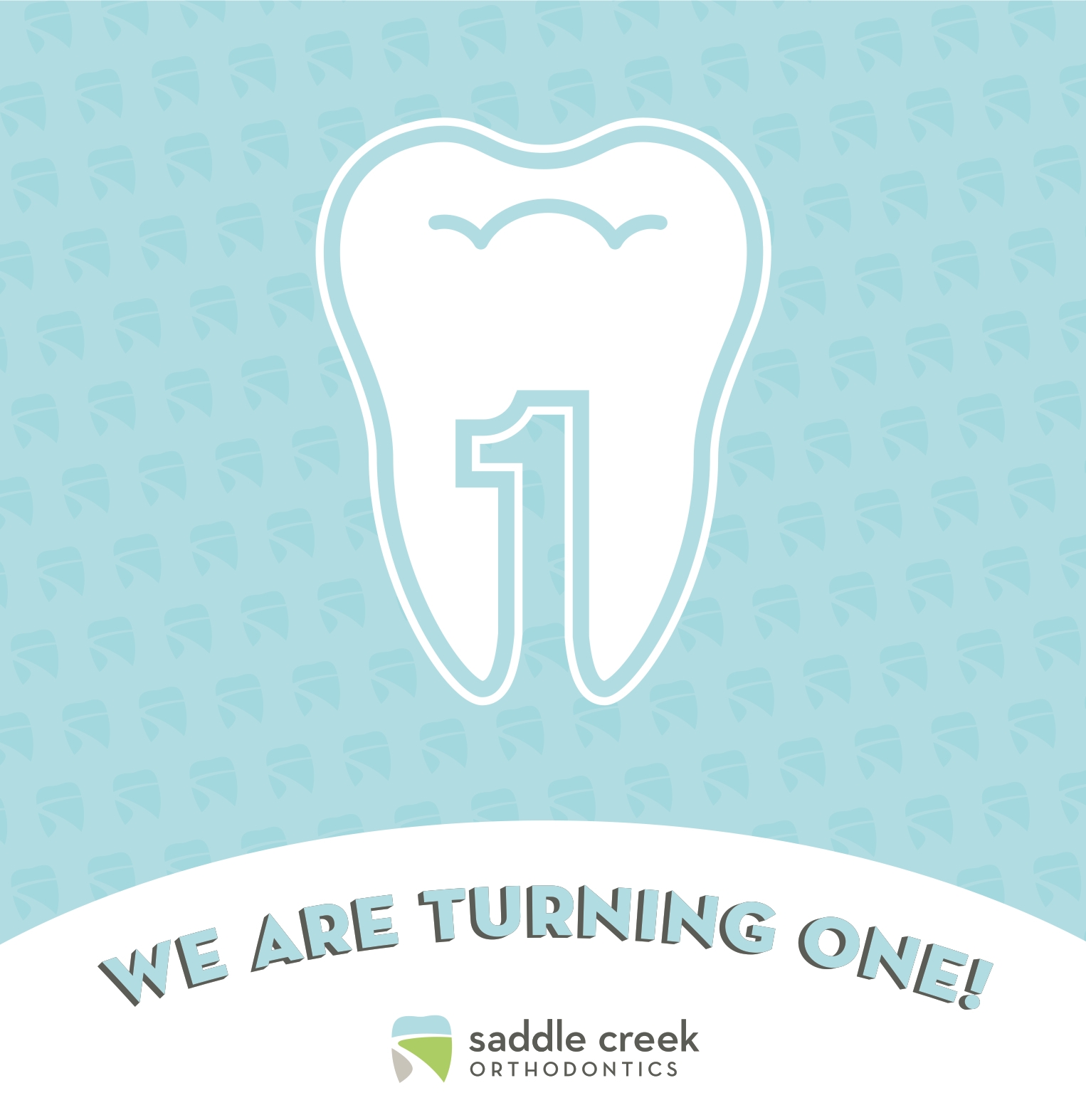 Saddle Creek Orthodontics First Birthday Party | Orthodontics Invitation | Braces Invisalign Memphis Germantown